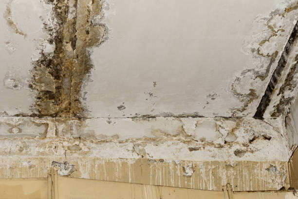 Best Residential water damage restoration  in USA